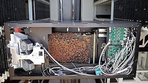 Are robot beekeepers the secret to saving the vital pollinators?