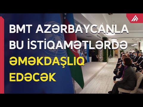 Video: BMT-də neçə ölkə Təşkilatın Nizamnaməsinə əməl etməyə hazırdır