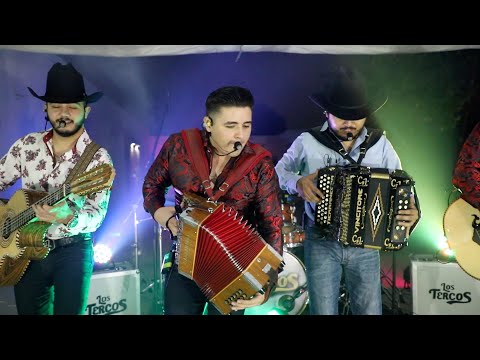 El Pavido Navido