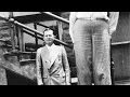 World's TALLEST MAN to have ever lived! (Robert Pershing Wadlow)