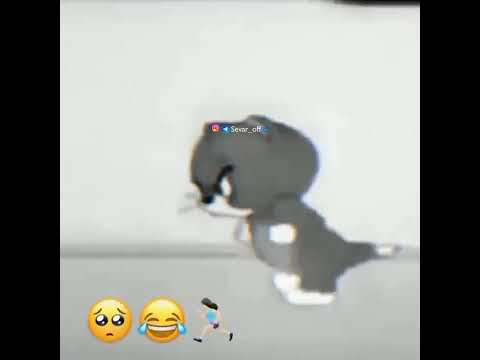 𝘽õ𝙮𝙞 𝙥𝙖𝙨𝙩 𝙦𝙞𝙯𝙡𝙖𝙣𝙞