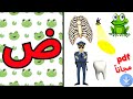 Arabic Letter Daad Song ض With Sound And Words أنشودة حرف الضاد مع صوت وكلمات حرف الضاد 