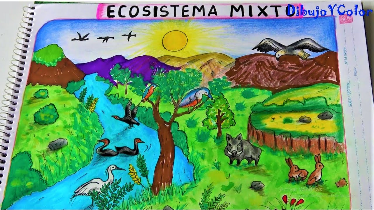 Como dibujar un ECOSISTEMA MIXTO/ ECOLOGIA/ DIBUJOYCOLOR. - thptnganamst.edu.vn