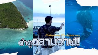 Ep.2 🇨🇿 ดำน้ำดูฉลามวาฬ นอนที่พักบนเกาะส่วนส่วนตัว Blue water sumilon island #Oslob #sumilon #Whale