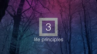 Three Life Principles (2021)