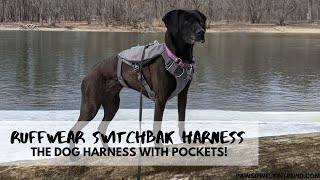 Switchbak Harness Review by Pawsitively Intrepid 5,205 views 2 years ago 7 minutes, 40 seconds