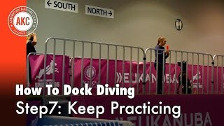 Dock Diving HowTo Step #7: Keep Practicing