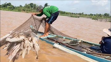 Nước nhảy lên chà dào sông Tiền vô nhiều cá khủng - Sông Nước Cửu Long - Nguyễn Hùng