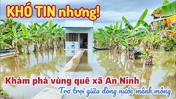 ⛵Mùa Nước Nổi Tràn Về – Căn Nhà Giữa Vườn Chuối Ngập Sâu Tới Cửa! Khó Tin Nhưng Có Thật