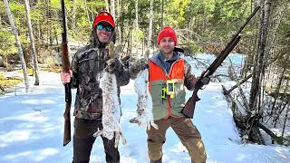 Snowshoe hare hunting in Maine (with beagles)