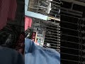 Rumah Makan Dapoer Molly Dikomplek Perumahan Batam Park Daerah Nagoya Lubukbaja Pulau Batam Rumah Makan Dapoer Molly Dikomplek Perumahan Batam Park Daerah Nagoya Lubukbaja Pulau Batam