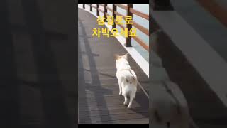 #삼길포로 차박가요 #대산항수산