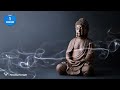 [1 Hour] The Sound of Inner Peace 14 | 528 Hz | Relaxing Music for Meditation &amp; Deep Sleep