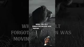 Download Lagu Bless up don't stress up #motivation #lion #quotes #mindset #inspiration #motivational #bless #fup MP3