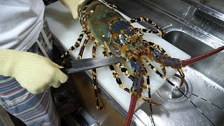 [EXTREMELY GRAPHIC] How to clean a live Ornate Spiny Lobster. A dangerous creature that grew too big