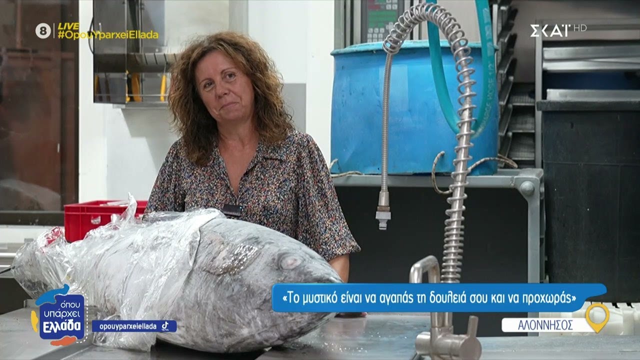 Από την κρίση στην επιτυχία: Η ιστορία της Alelma | Όπου Υπάρχει Ελλάδα | 23/01/2025