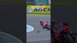 tiga momen MotoGP Australia Jumat 18 Oktober 2024 ngeri ngeri sedap #motogp #motogpaustralia