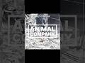 This game is so peak🥹 #gorillatag #animalcompany #vr #capcut #foryoupage #youtube