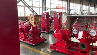 De Maas Diesel Engine Driven Pump