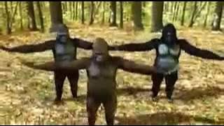 Orang Hutan Berjoget