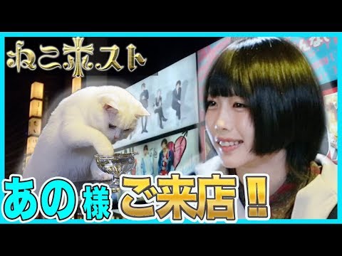 ねこホスト ♯1 「ご来店！」あのちゃん編