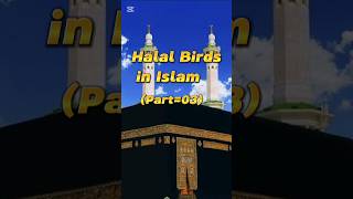 Halal Birds in Islam (Part 03) #islamicshorts #shortsfeed #islamic #shorts