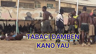 Download Lagu Tabaci Mabinu Yasumar Da Melaya Shagon Babba Da Dogon Kyallu  MP3