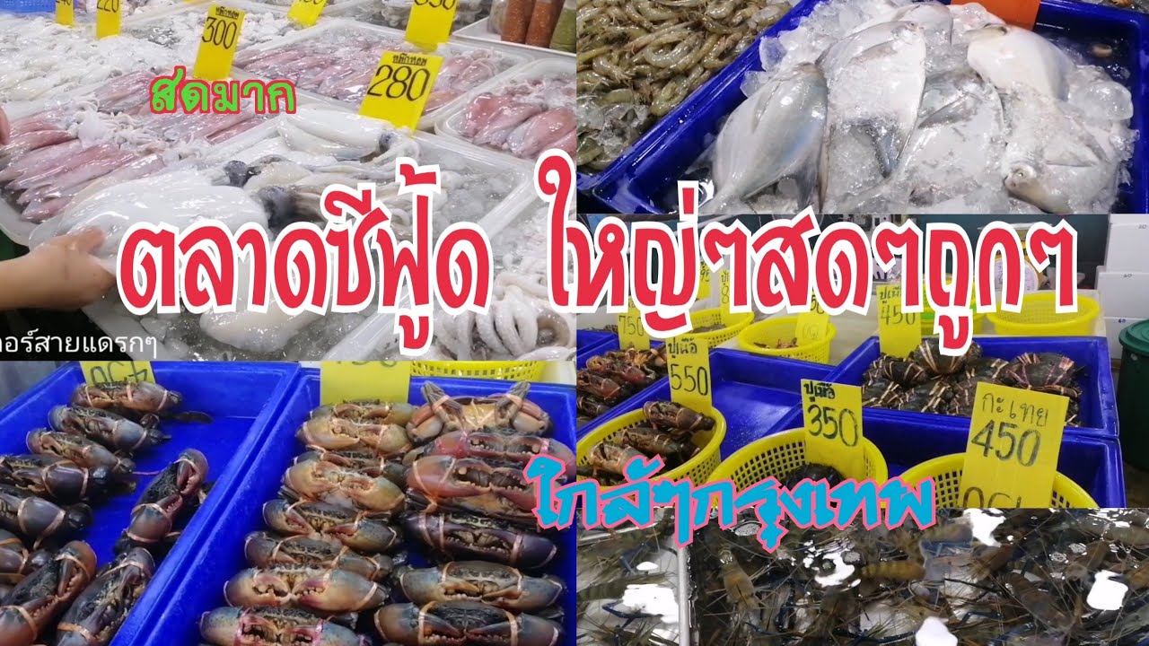 ตลาดมหาชัยเมืองใหม่ อาหารทะเลสดๆ ถูกมาก ของเยอะ จบที่เดียวเลย|fish market | สังเคราะห์เนื้อหาที่ถูกต้องที่สุดเกี่ยวกับตลาด อาหาร ทะเล มหาชัย