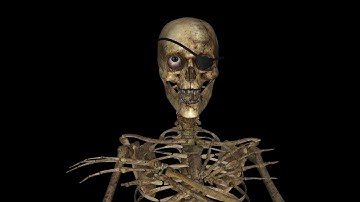 Vampire - Pirate Skeleton - Loop - Alpha