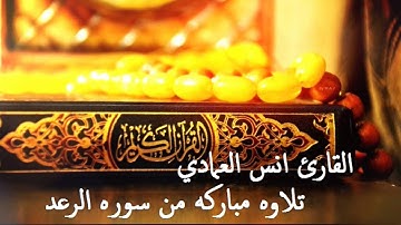 القارئ انس العمادي - ماتيسر من سوره الرعد 1437 هـ جديد