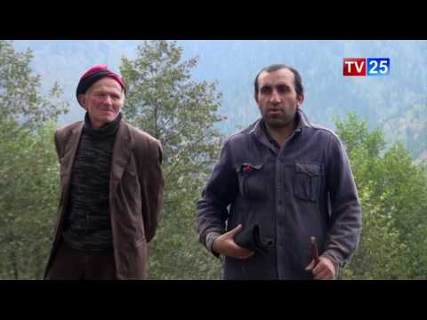 ხულოში დაკარგულ ქალს ვერ პოულობენ