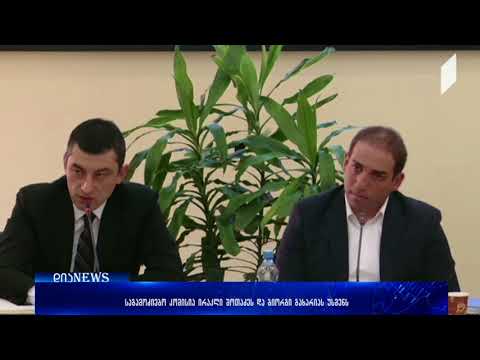 გიორგი გახარია და ირაკლი შოთაძე საგამოძიებო კომისსი კითხვებს პასუხობენ