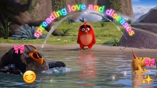 The angry birds movie being an absolute train wreck for 5 minutes straight