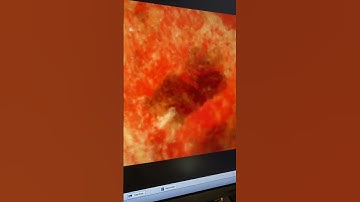 Carrots Under Kids Microscope  #kidsmicroscope #parenting #moms