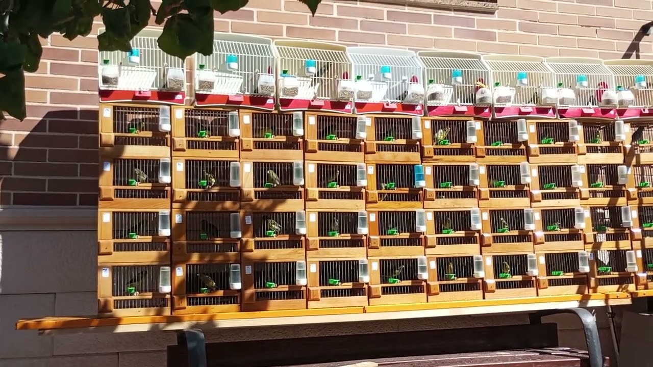 Empieza la segunda semana de rodaje en 2023.