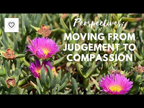 Perspectives: Moving from Judgement to Compassion