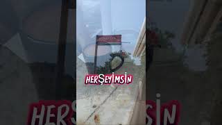 Duydumki Unutmuşsun Hatırlatmak Istedim🌻