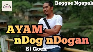 Reggae Ngapak || Ayam Ndog Ndogan - Sigoen By Eddy Shee Music  ( OFFICIAL MUSIC VIDEO )