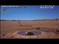 Namibiacam warthog spa in the namib desert