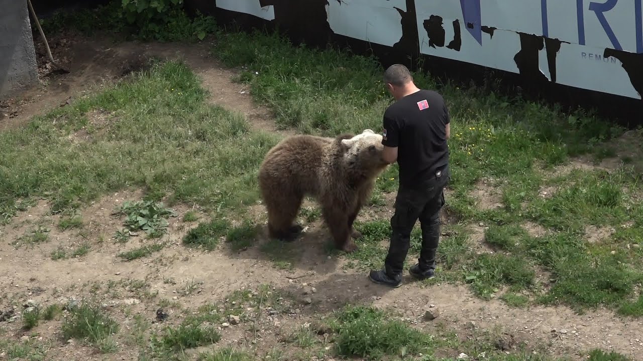 PUT NAS DOVEO: Ozren u zagrljaju medvjedica, vuka, lame i jelena - 29.05.2022.
