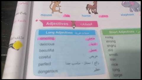 Connect 4.    Unit 2. lesson 2. Amazing Desert Animals(2)