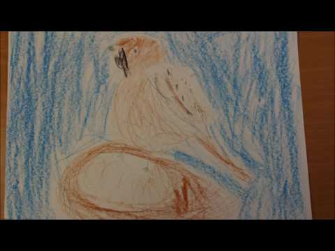 Video: Kuidas Joonistada Haldjas Lindu