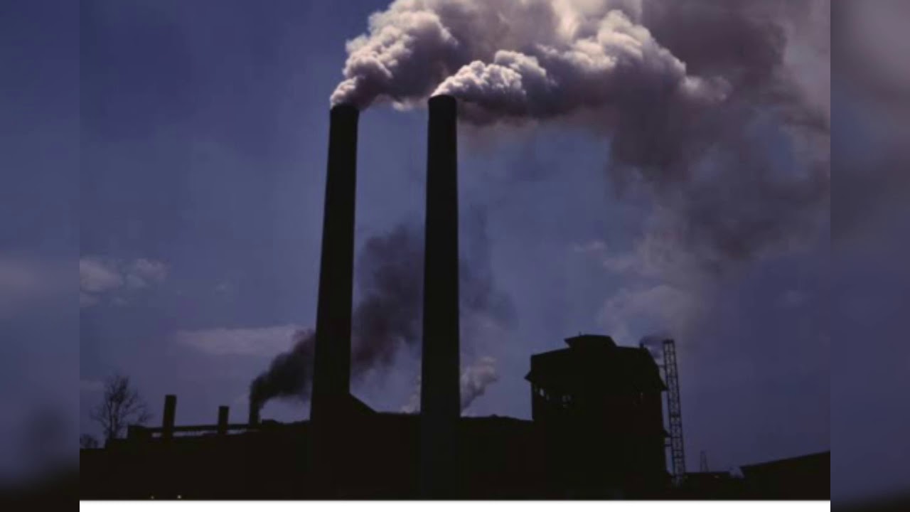 Environmental Degradation And Pollution In Bengali EVS class 12 
