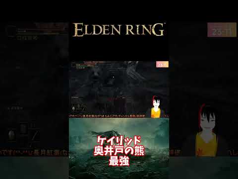 【ELDEN RING】ケイリッド 奥井戸の熊 最強【長月紅葉】