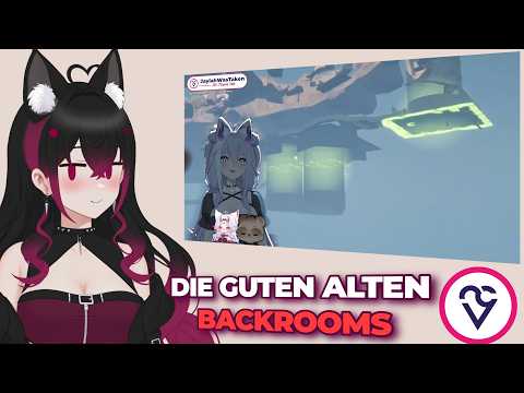 Man kann sich selbst raiden?! | VHeart Clips Folge 11 – XAYRIE REACTION
