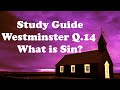 Westminster Q.14 Study Guide for What is Sin