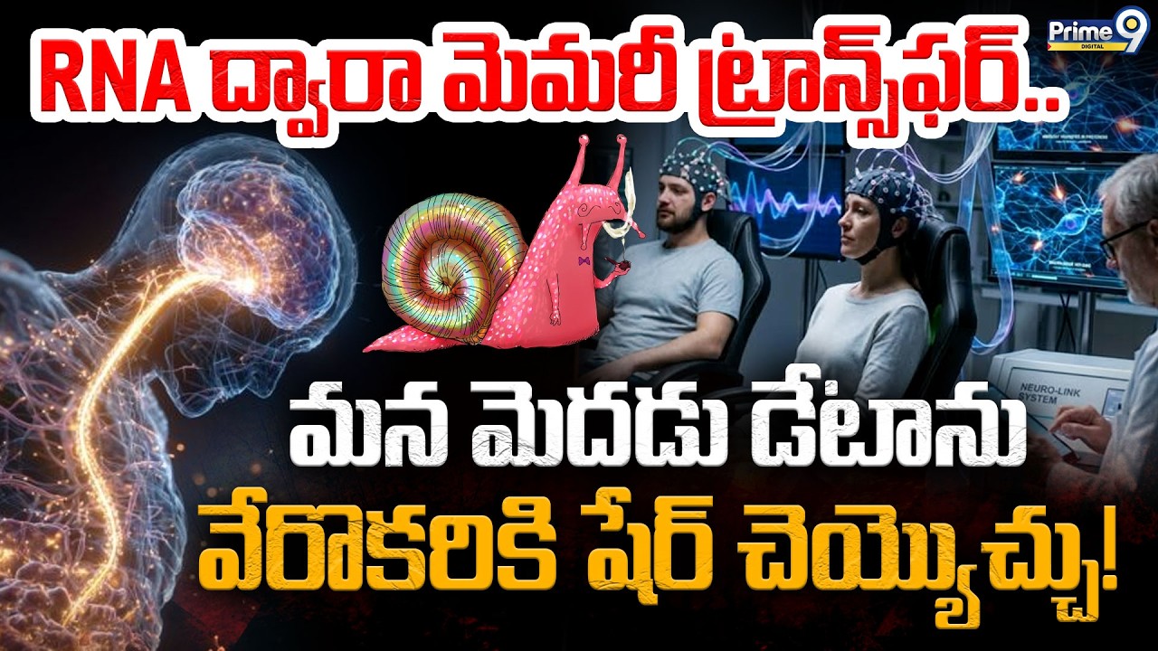 RNA Memory Transfer | RNA ద్వారా మెమరీ ట్రాన్స్‌ఫర్.! | Brain Data ...