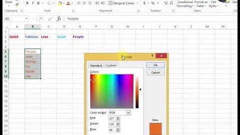 How To Change Fonts Color in MS Excel 2013 Tutorial p11 Urdu Hindi