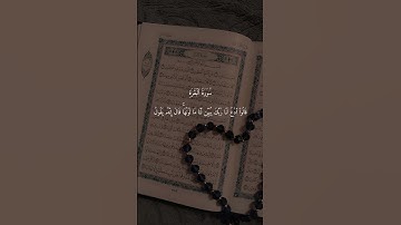 سورة البقرة الآيات 67 - 73 #المصحف #اكسبلور #قران