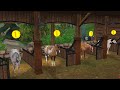 Star Coin Discount Horse Sale in Star Stable Online